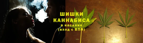 мяу мяу мука Белокуриха