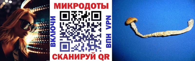 Галлюциногенные грибы ЛСД ссылка на мегу ссылка Ельня купить цена